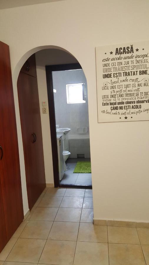 Vega Apartament Тімішоара Екстер'єр фото